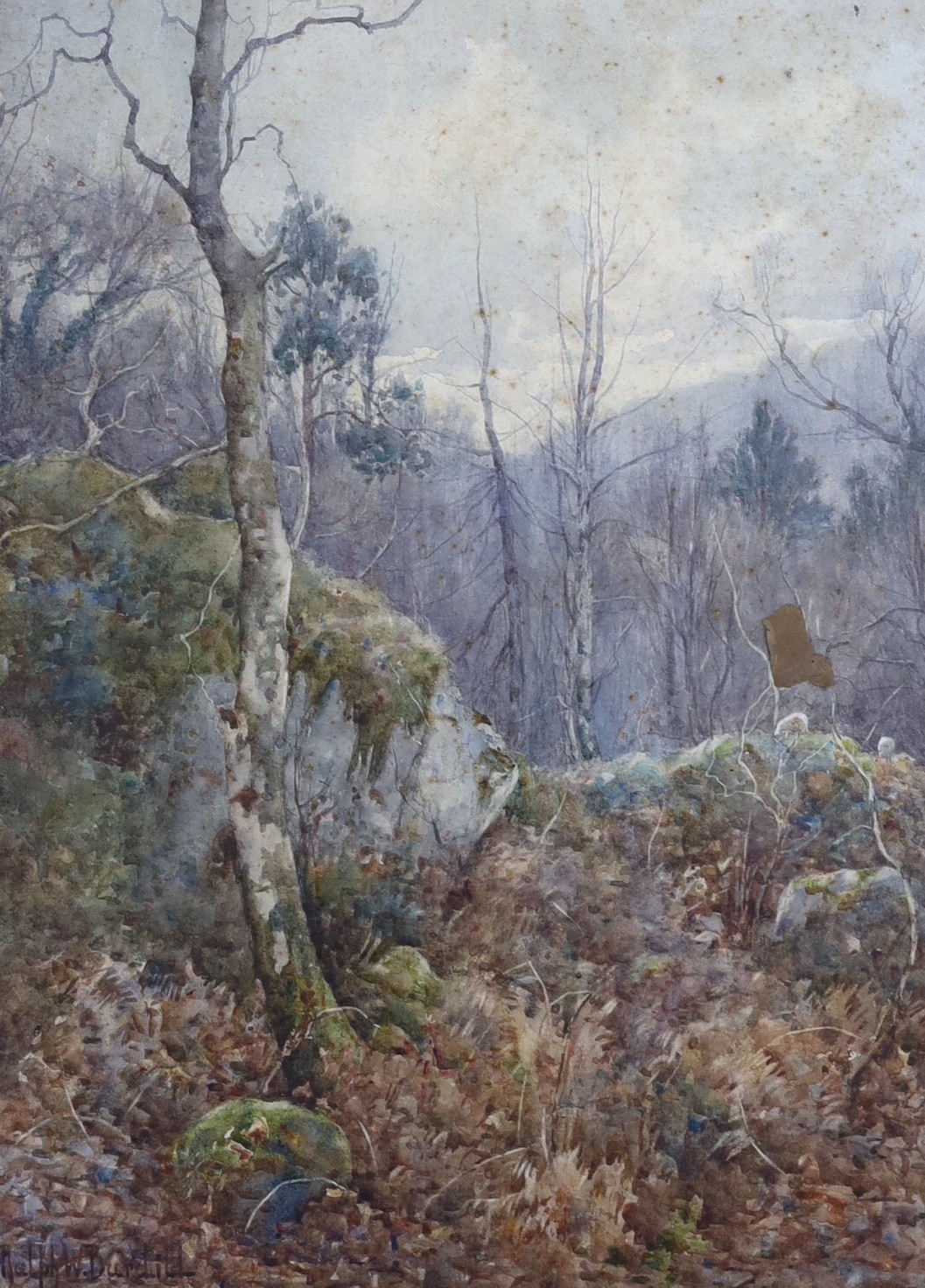 Ralph William Bardill (1876-1935), watercolour, 'A Wood in the Llugwy Valley', signed, 32 x 23cm